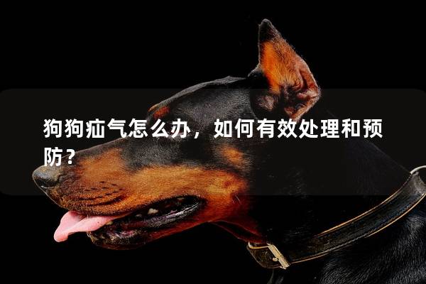 狗狗疝氣怎么辦，如何有效處理和預防？
