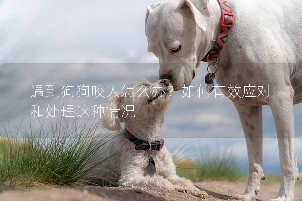 遇到狗狗咬人怎么辦？如何有效應對和處理這種情況