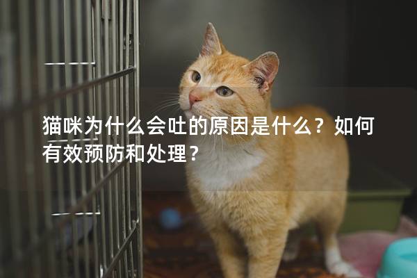 貓咪為什么會吐的原因是什么？如何有效預防和處理？