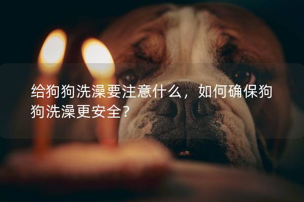 給狗狗洗澡要注意什么，如何確保狗狗洗澡更安全？