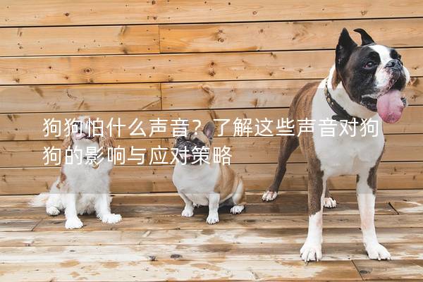 狗狗怕什么聲音?了解這些聲音對(duì)狗狗的影響與應(yīng)對(duì)策略 狗狗怕什么聲音?了解這些聲音對(duì)狗狗的影響與應(yīng)對(duì)策略