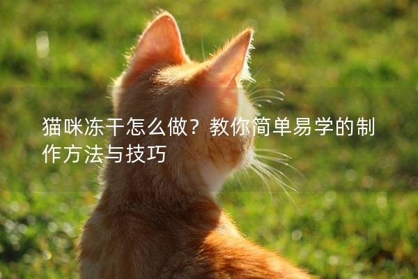 貓咪凍干怎么做？教你簡單易學(xué)的制作方法與技巧