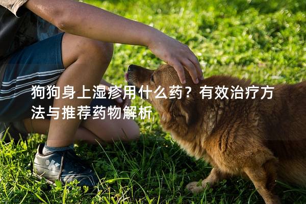 狗狗身上濕疹用什么藥？有效治療方法與推薦藥物解析