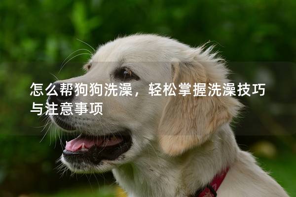 怎么幫狗狗洗澡，輕松掌握洗澡技巧與注意事項(xiàng)