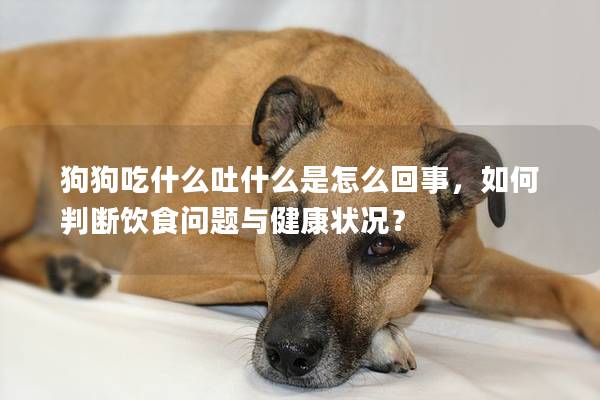 狗狗吃什么吐什么是怎么回事，如何判斷飲食問題與健康狀況？