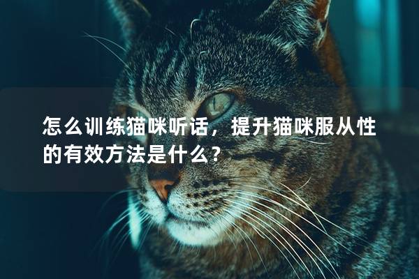 怎么訓練貓咪聽話，提升貓咪服從性的有效方法是什么？