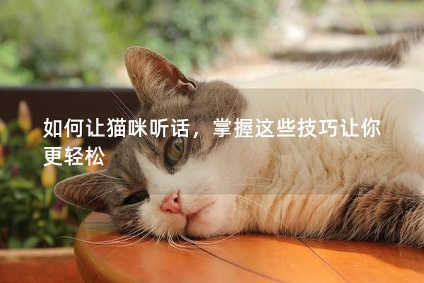 如何讓貓咪聽話，掌握這些技巧讓你更輕松