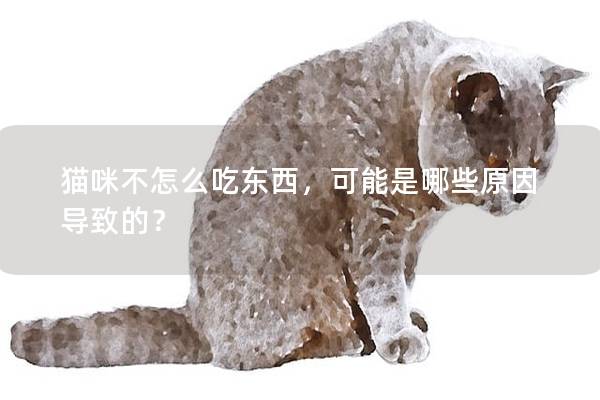 貓咪不怎么吃東西，可能是哪些原因?qū)е碌模?></em><p>貓咪不怎么吃東西，可能是哪些原因?qū)е碌模?/p><span>2024-11-22</span></a></li><li><a title=