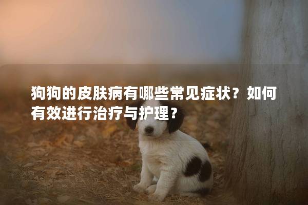 狗狗的皮膚病有哪些常見癥狀？如何有效進行治療與護理？