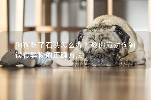 狗狗吃了石頭怎么辦?教你應對狗狗誤食異物的正確方法 狗狗吃了石頭怎么辦?教你應對狗狗誤食異物的正確方法