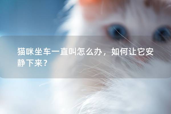 貓咪坐車一直叫怎么辦，如何讓它安靜下來？