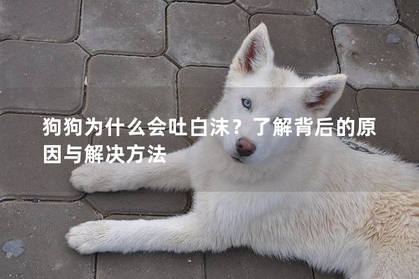 狗狗為什么會(huì)吐白沫？了解背后的原因與解決方法