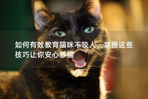 如何有效教育貓咪不咬人，掌握這些技巧讓你安心養貓