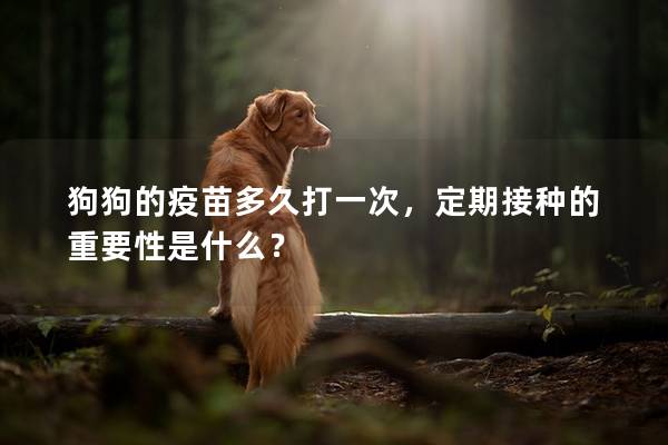 狗狗的疫苗多久打一次,定期接種的重要性是什么? 狗狗的疫苗多久打一次,定期接種的重要性是什么?
