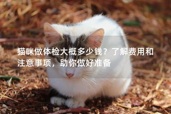 貓咪做體檢大概多少錢？了解費(fèi)用和注意事項(xiàng)，助你做好準(zhǔn)備