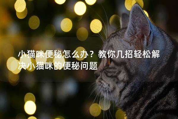 小貓咪便秘怎么辦?教你幾招輕松解決小貓咪的便秘問題 小貓咪便秘怎么辦?教你幾招輕松解決小貓咪的便秘問題