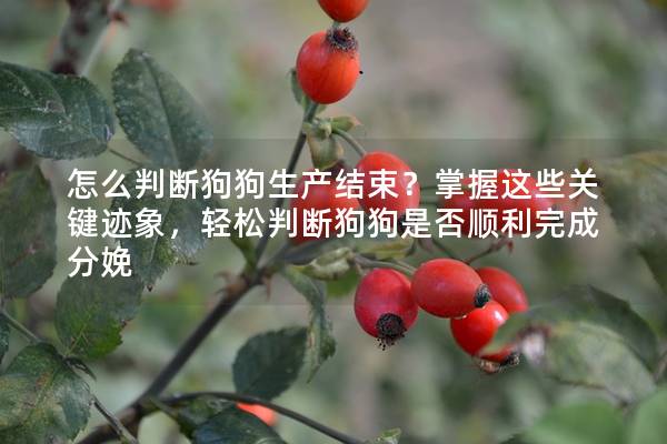 怎么判斷狗狗生產結束？掌握這些關鍵跡象，輕松判斷狗狗是否順利完成分娩