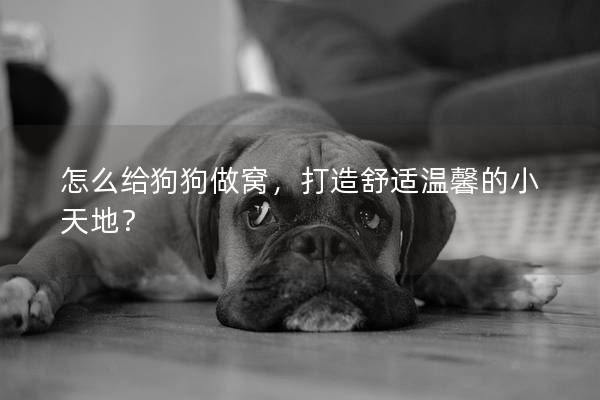 怎么給狗狗做窩,打造舒適溫馨的小天地? 怎么給狗狗做窩,打造舒適溫馨的小天地?