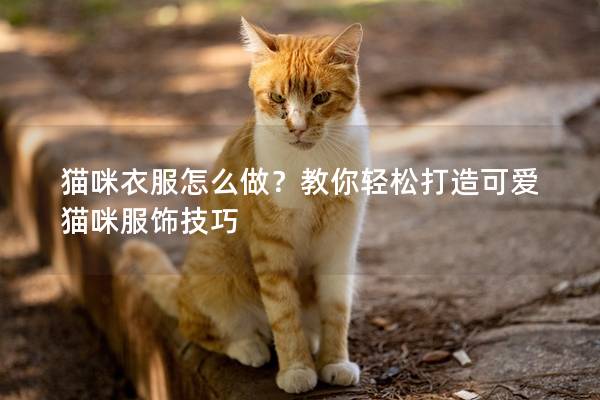 貓咪衣服怎么做？教你輕松打造可愛貓咪服飾技巧