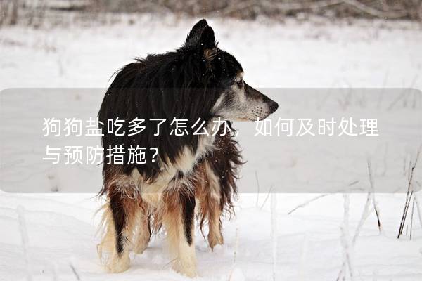狗狗鹽吃多了怎么辦，如何及時處理與預防措施？