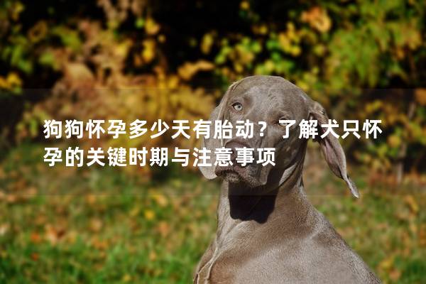 狗狗懷孕多少天有胎動?了解犬只懷孕的關鍵時期與注意事項 狗狗懷孕多少天有胎動?了解犬只懷孕的關鍵時期與注意事項