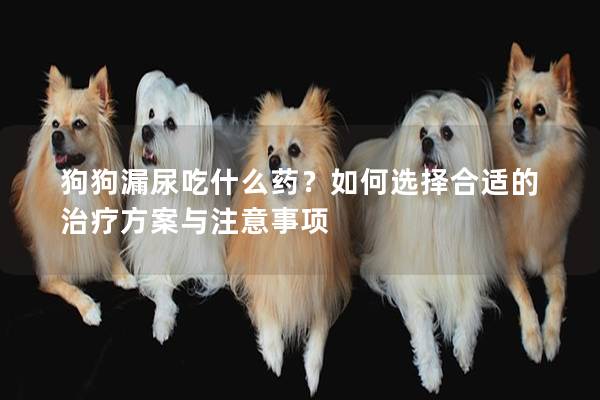 狗狗漏尿吃什么藥？如何選擇合適的治療方案與注意事項(xiàng)