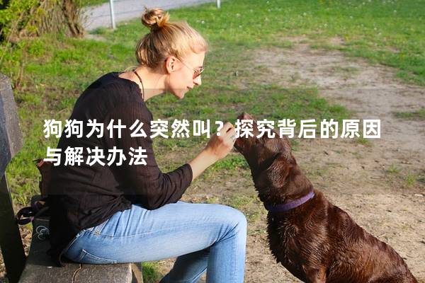 狗狗為什么突然叫？探究背后的原因與解決辦法