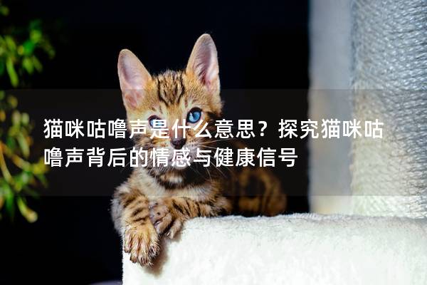 貓咪咕嚕聲是什么意思？探究貓咪咕嚕聲背后的情感與健康信號