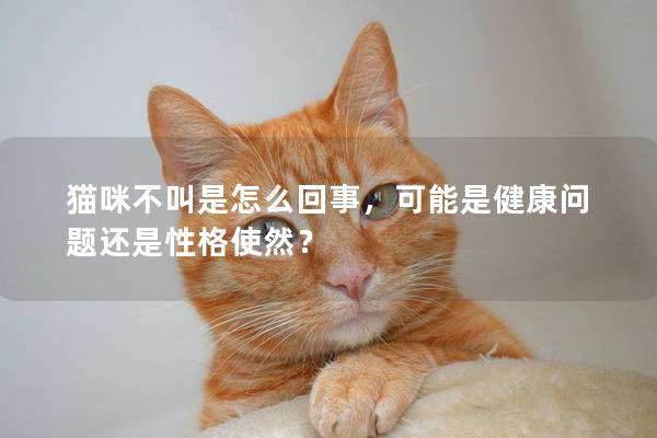 貓咪不叫是怎么回事,可能是健康問題還是性格使然? 貓咪不叫是怎么回事,可能是健康問題還是性格使然?