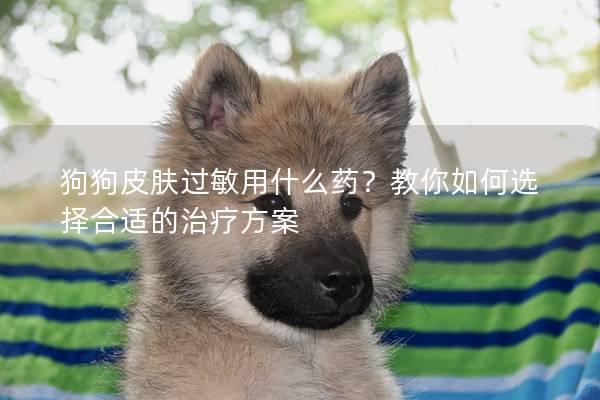 狗狗皮膚過敏用什么藥？教你如何選擇合適的治療方案