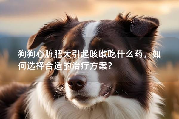 狗狗心臟肥大引起咳嗽吃什么藥，如何選擇合適的治療方案？