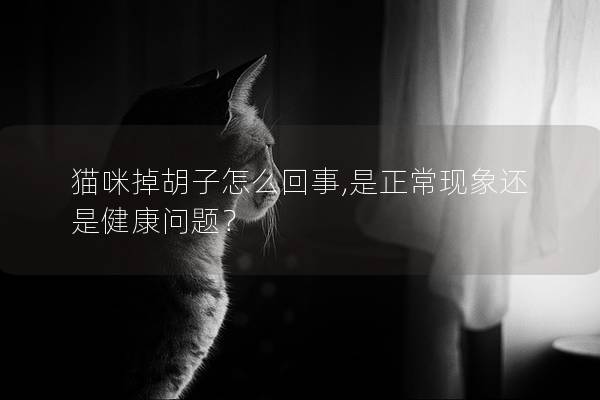 貓咪掉胡子怎么回事,是正常現象還是健康問題？