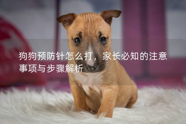 狗狗預(yù)防針怎么打，家長(zhǎng)必知的注意事項(xiàng)與步驟解析