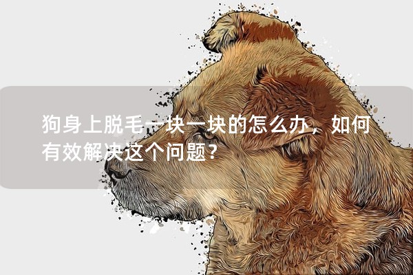 狗身上脫毛一塊一塊的怎么辦，如何有效解決這個問題？