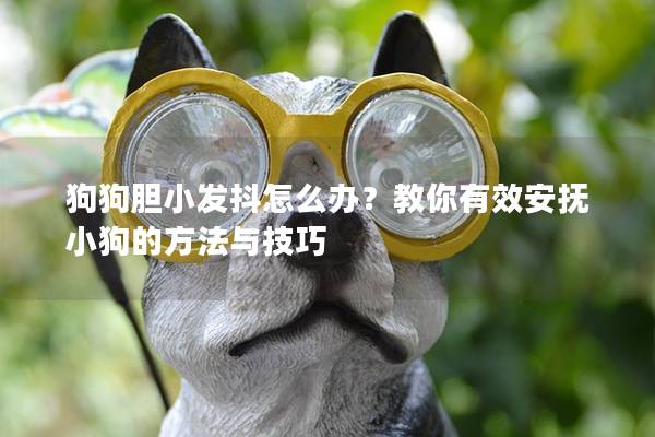 狗狗膽小發抖怎么辦？教你有效安撫小狗的方法與技巧