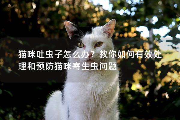 貓咪吐蟲子怎么辦？教你如何有效處理和預(yù)防貓咪寄生蟲問題