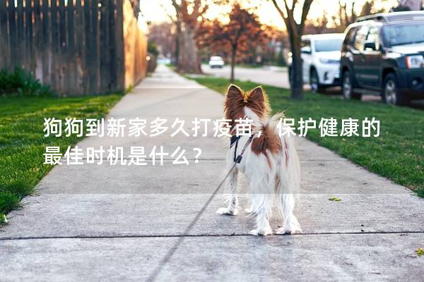 狗狗到新家多久打疫苗，保護健康的最佳時機是什么？