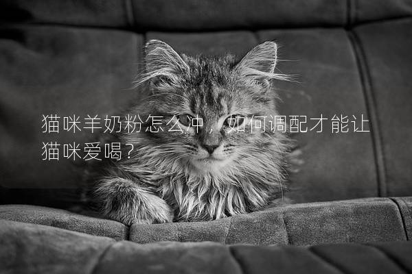 貓咪羊奶粉怎么沖，如何調(diào)配才能讓貓咪愛喝？