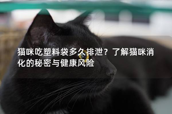 貓咪吃塑料袋多久排泄？了解貓咪消化的秘密與健康風險