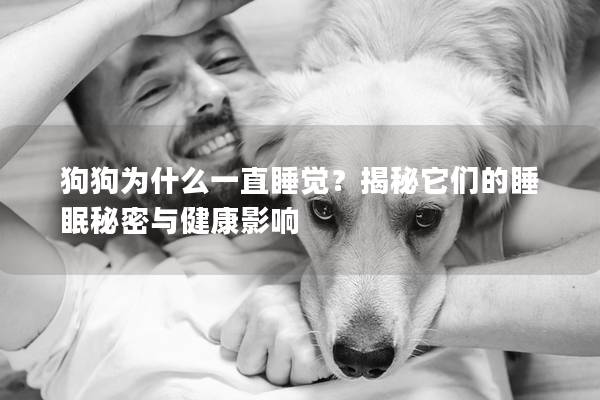 狗狗為什么一直睡覺？揭秘它們的睡眠秘密與健康影響