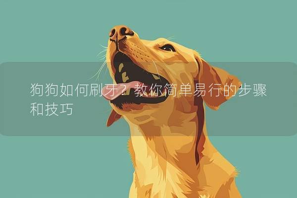狗狗如何刷牙？教你簡單易行的步驟和技巧