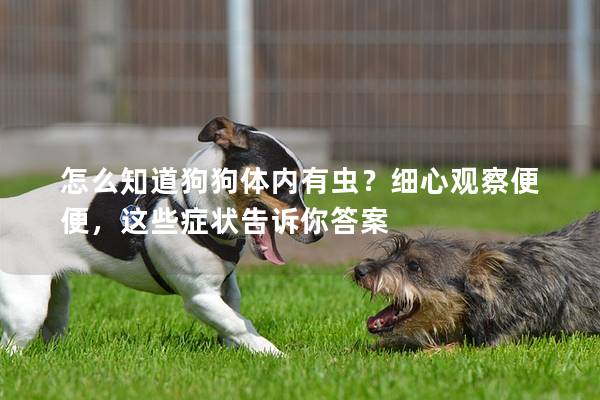 怎么知道狗狗體內有蟲？細心觀察便便，這些癥狀告訴你答案