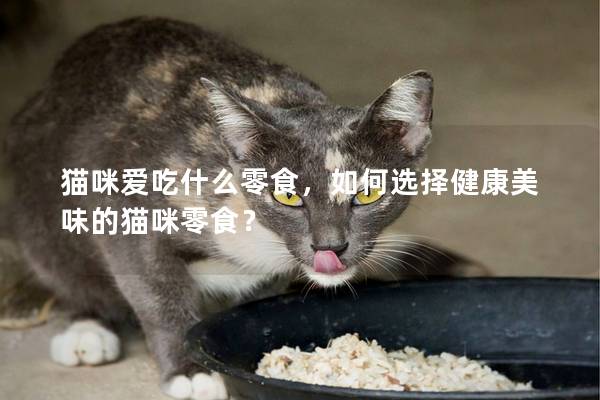 貓咪愛吃什么零食，如何選擇健康美味的貓咪零食？