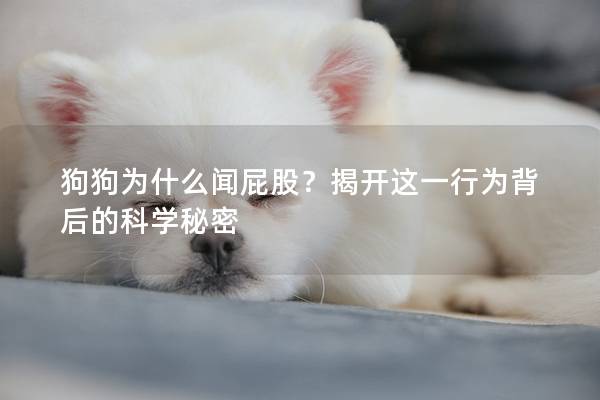 狗狗為什么聞屁股？揭開這一行為背后的科學(xué)秘密