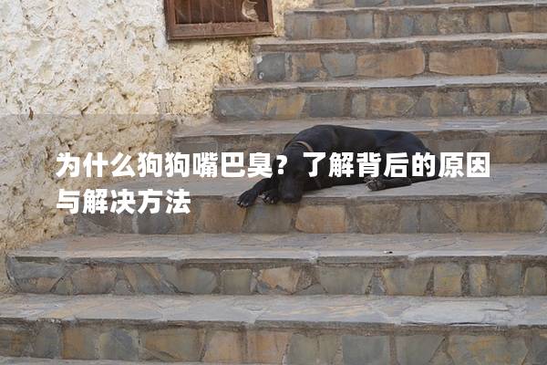 為什么狗狗嘴巴臭？了解背后的原因與解決方法
