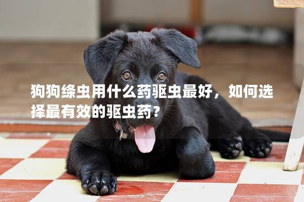 狗狗絳蟲用什么藥驅蟲最好，如何選擇最有效的驅蟲藥？