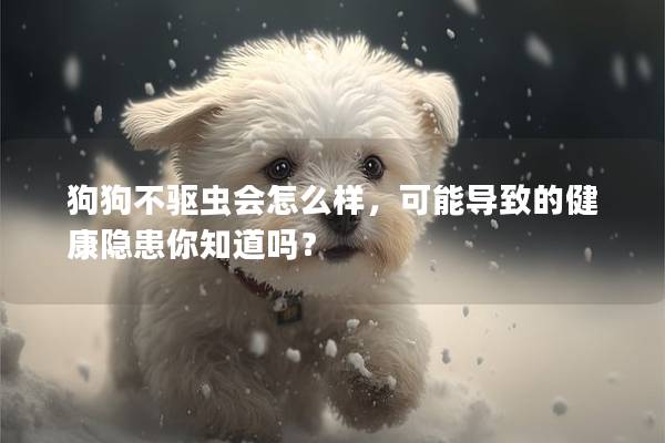 狗狗不驅蟲會怎么樣，可能導致的健康隱患你知道嗎？