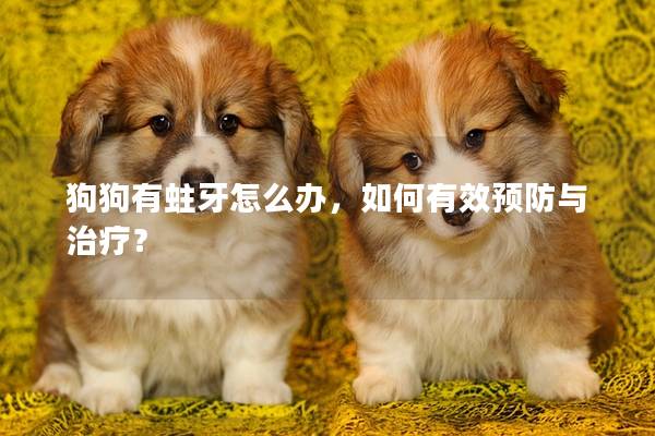 狗狗有蛀牙怎么辦，如何有效預防與治療？