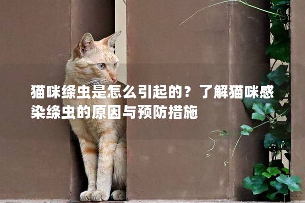 貓咪絳蟲是怎么引起的？了解貓咪感染絳蟲的原因與預(yù)防措施