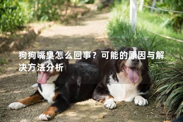 狗狗嘴臭怎么回事？可能的原因與解決方法分析